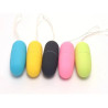 Buy  Wireless Remote Control Egg Bullet Vibrator Sex Toys In Nagaon